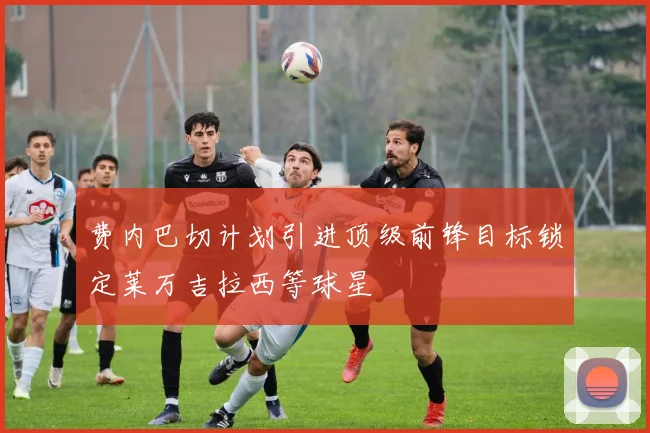 费内巴切计划引进顶级前锋目标锁定莱万吉拉西等球星